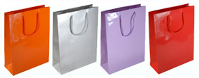 Medium Gloss Laminated Rope Handle Paper Bags-25x34x10cm